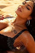Termoli Escort Adriana Curvy 380 1462000 foto 29