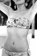 Milano Escort Alesxandra 344 4911412 foto 18