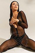 Ancona Escort Evelyne 351 2176515 foto 4