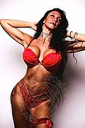 Milano Escort Darcey 327 2719957 foto 18