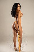 Treviso Escort Perla 392 1586689 foto 9