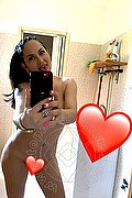 Trento Escort Alicia Sexy 366 8913860 foto selfie 6
