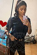 Alba Adriatica Escort Amanda Ferrari 389 4869573 foto selfie 7